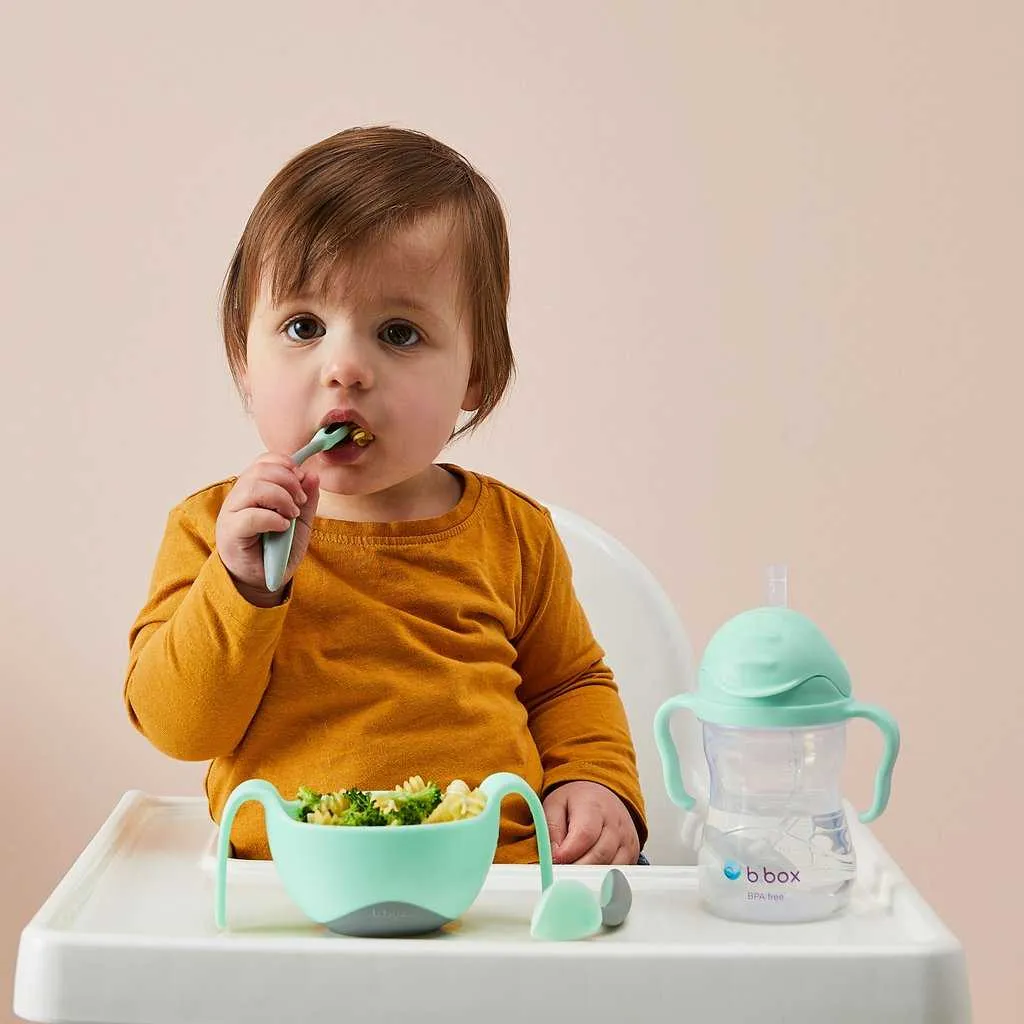 BBox Sippy Cup-Pistachio