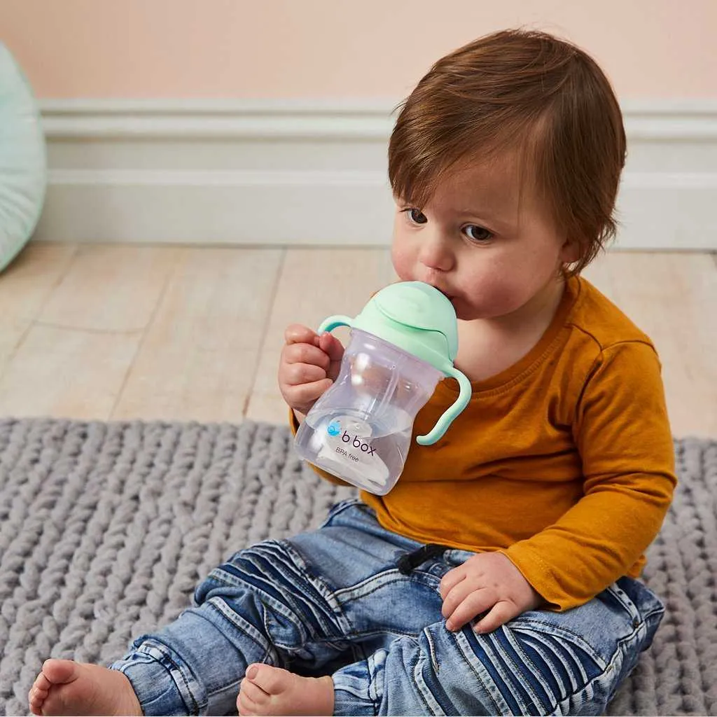 BBox Sippy Cup-Pistachio