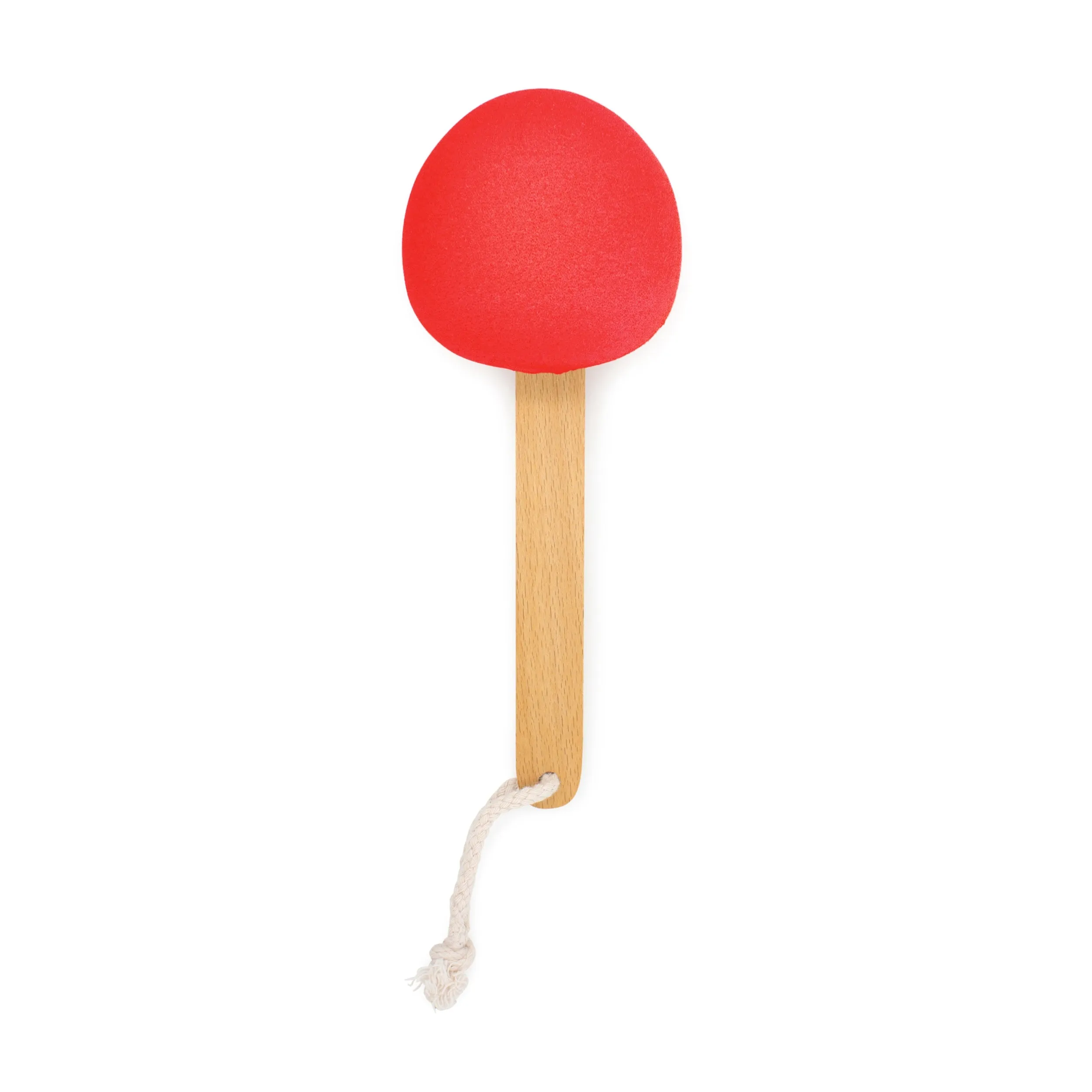Lollipop Sponge Cleaner